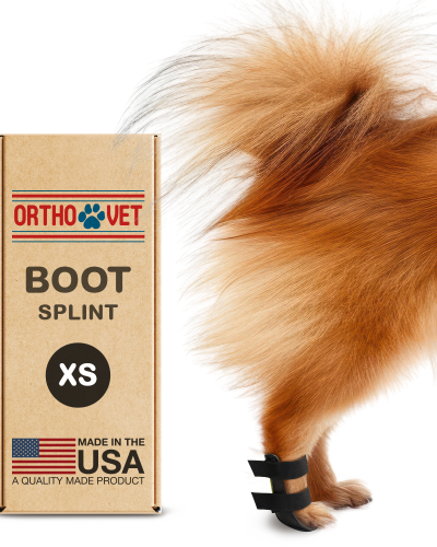 Dog Boot Splint