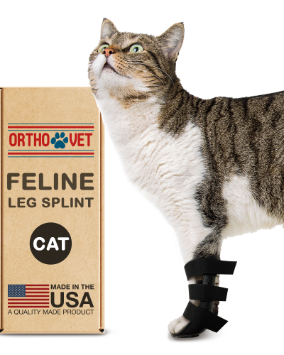 Feline Front Leg Splint