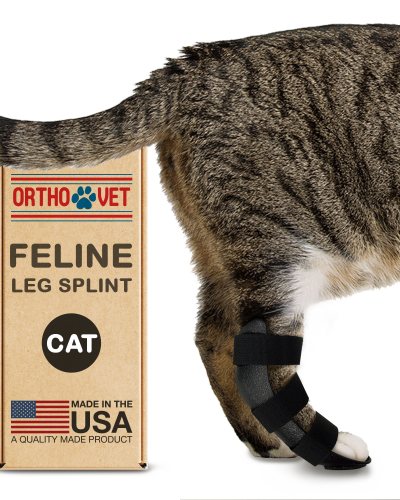 Feline Rear Leg Splint