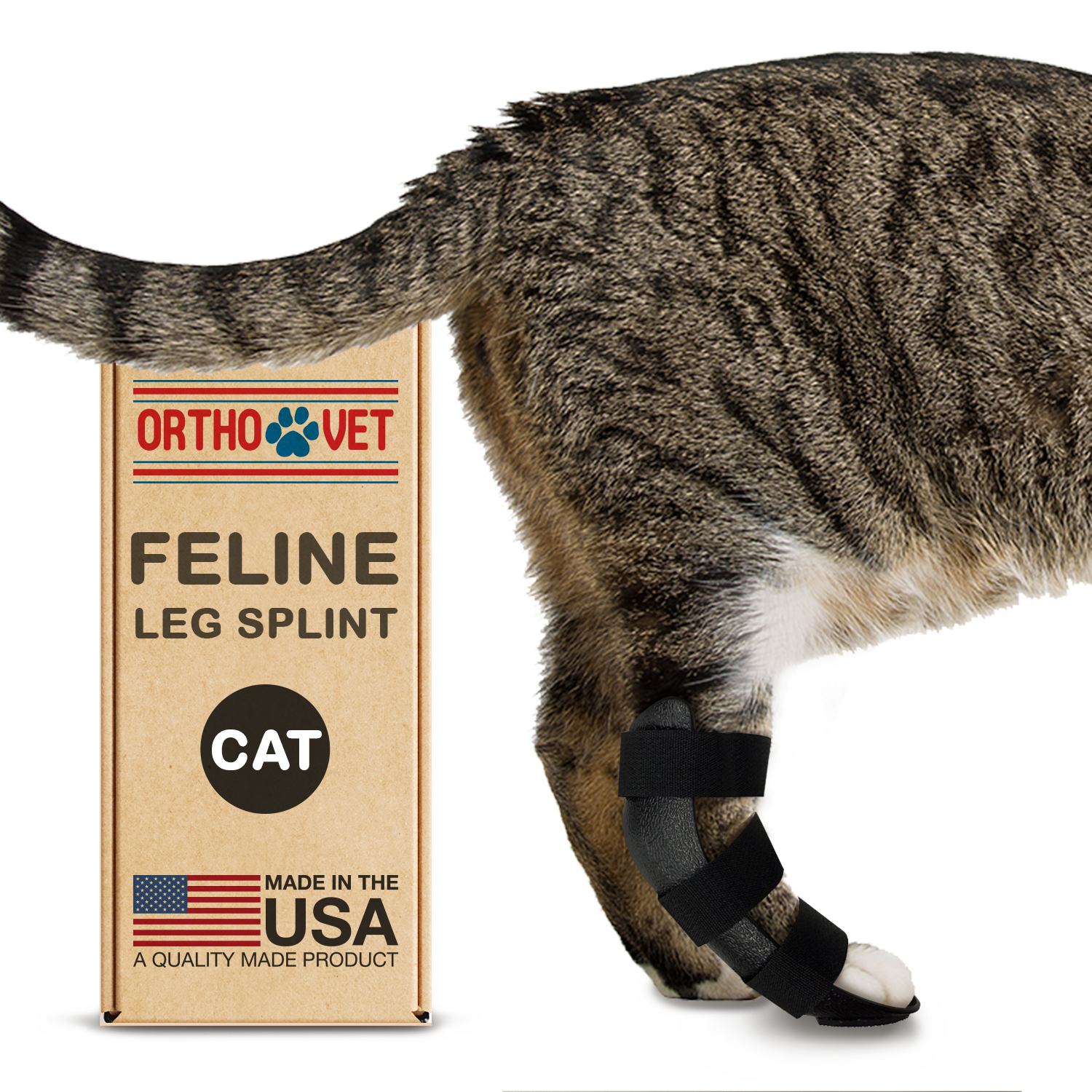 Feline Rear Leg Splint