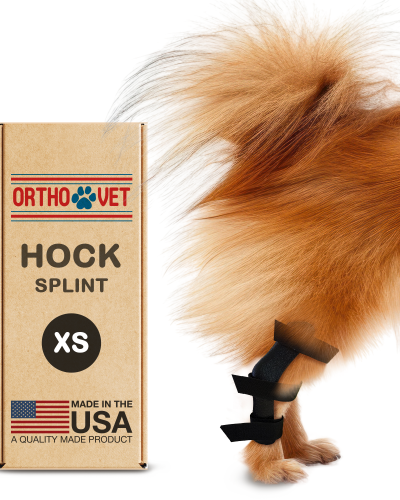 Hock Splint