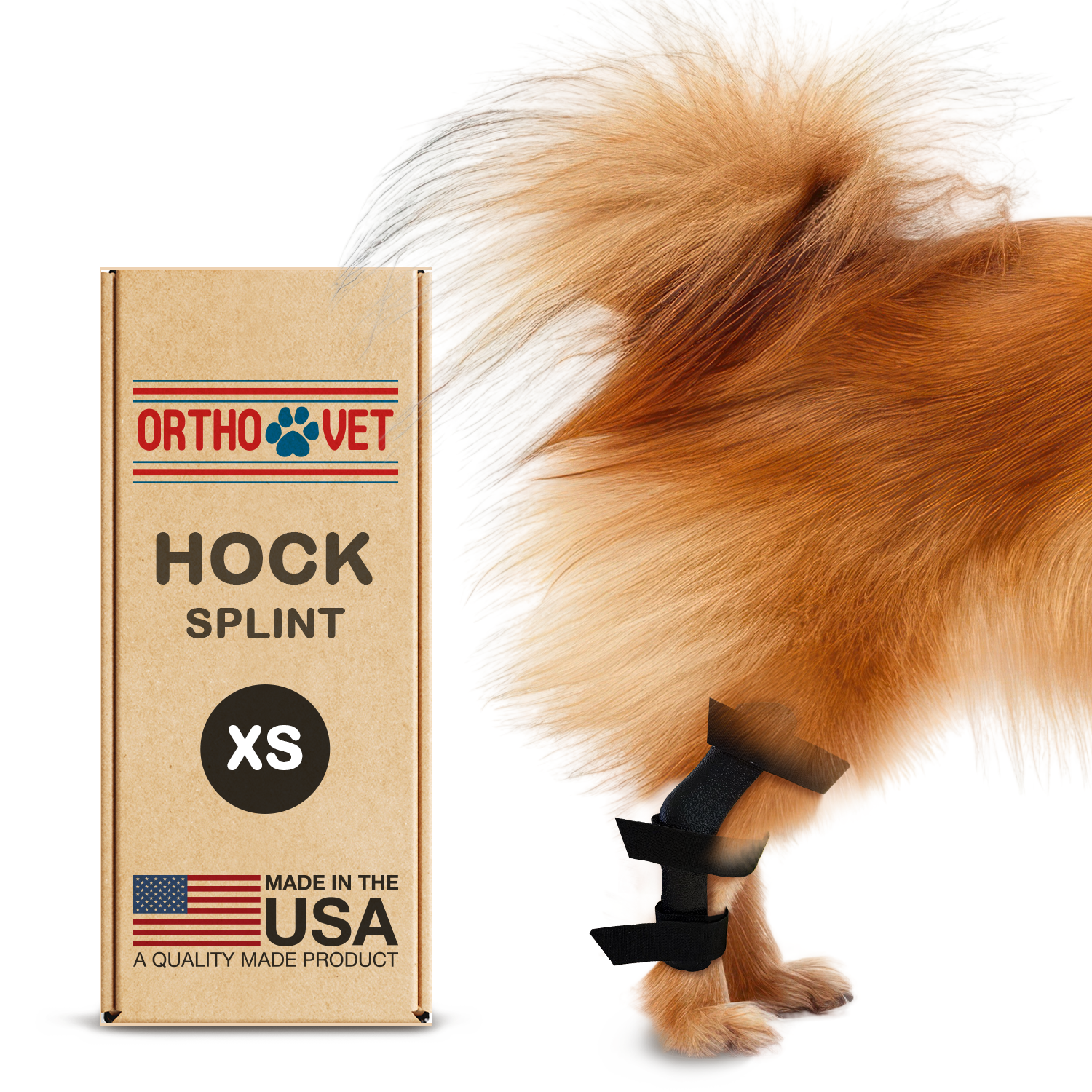 Hock Splint