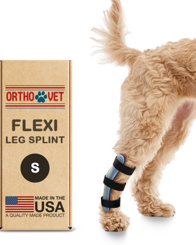 Flexi Rear Limb